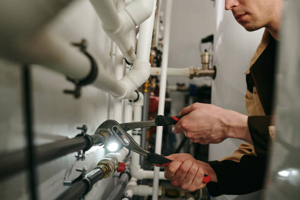 Best Plumbing Repair Near Me  in St Elmo, IL